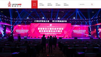 深圳市鼎盛年華文化傳播品牌網站建設